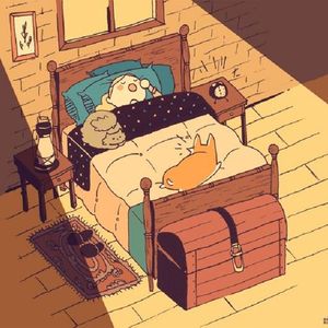 张家界新娘吴敏mv观看
