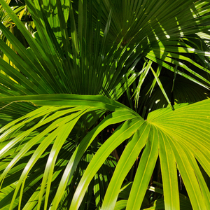 张家界新娘吴敏mv观看
